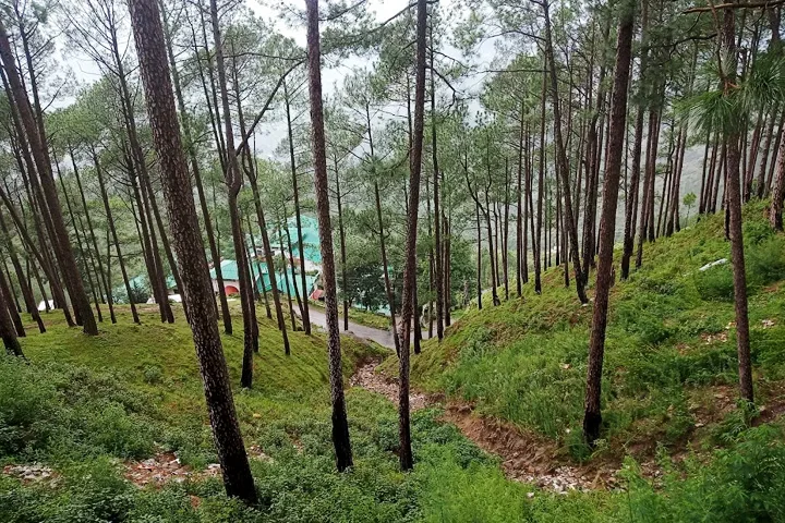 Taxi Service in Almora
