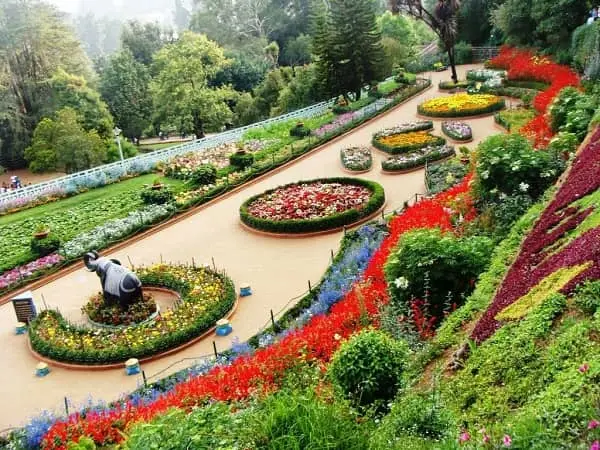 Delhi to Chandigarh Taxi Service