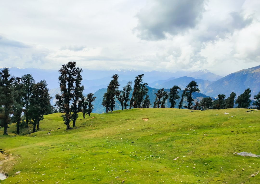 Rishikesh to Chopta (Tungnath) taxi