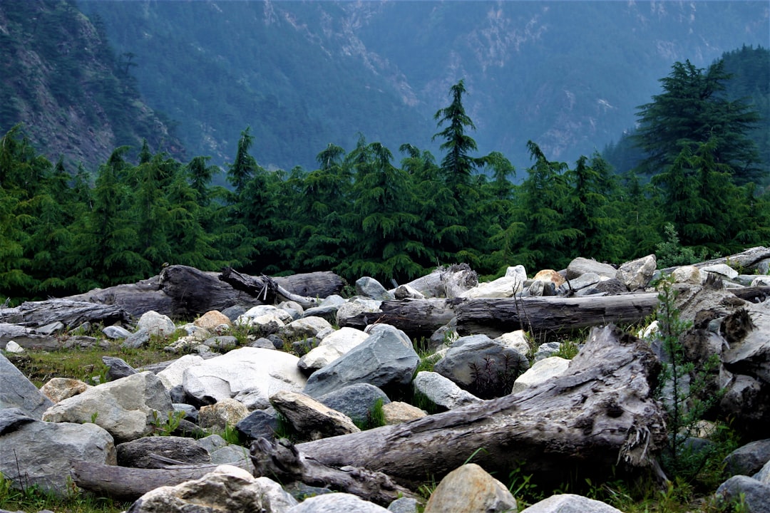 Book Dehradun to Harsil taxi