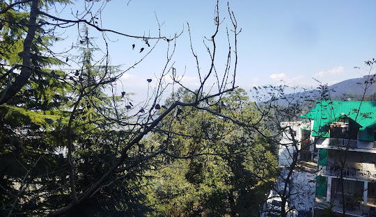 Dehradun to Pathankot Cab